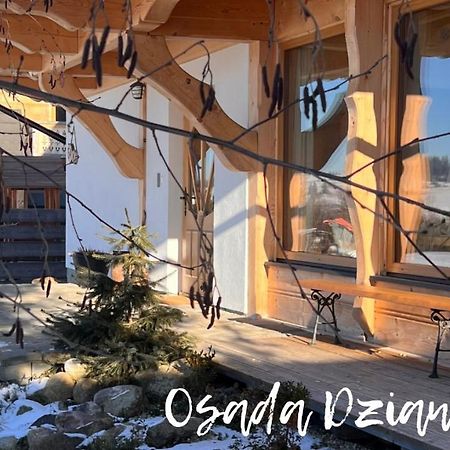 Osada Dzianisz N°54 Villa Eksteriør billede